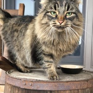 Meet your Posher, Kendall